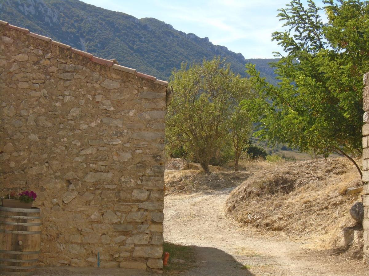 Chambre D'Hote Cucugnan Bagian luar foto